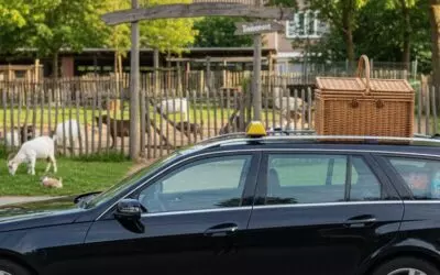 Stadsboerderijen bezoeken en dieren voeren met de kinderen in Den Haag.