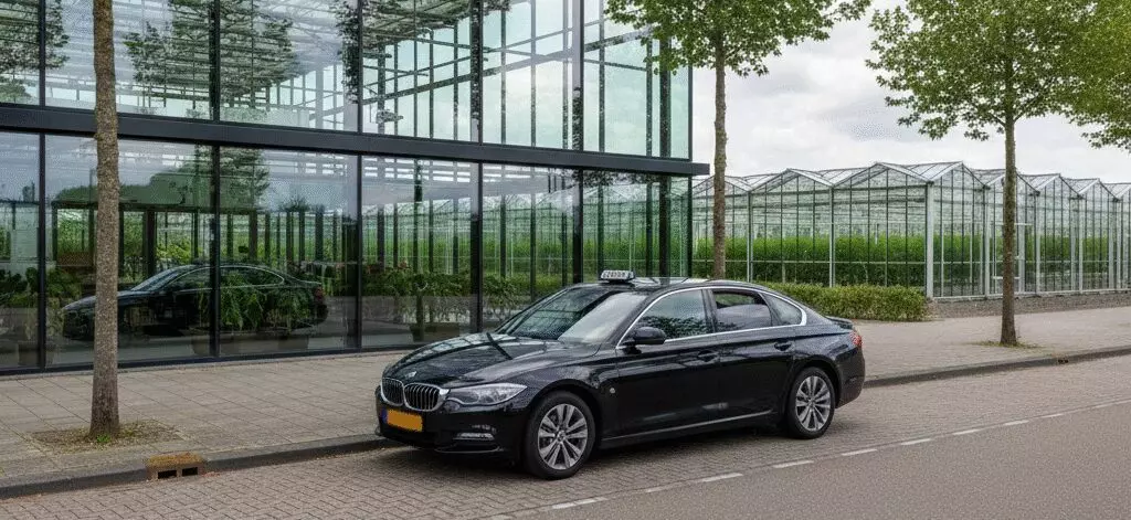 Bezoek Westlands Museum en leer over glas en tuinbouwverhalen in Westland.