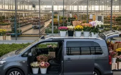 FloraHolland Naaldwijk rondleiding en verse bloemen kopen in Westland.