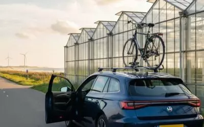 Weekend in Westland met fietsroute, strand en kassen vol verhalen in Westland.